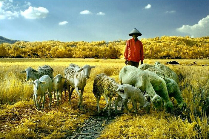 Pejuang Qurban