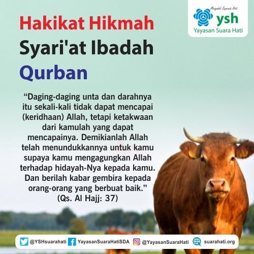 Hakikat Hikmah Syari’at Ibadah Qurban
