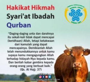 anak asuh, anak yatim, yayasan di sidoarjo, yayasan suara hati di sidoarjo, panti asuhan di sidoarjo, panti asuhan suara hati sidoarjo, ysh peduli, sidoarjo, majalah suara hati, panti asuhan sidoarjo, idul qurban, kapan idul adha 2023, lebaran haji, hari tasrik, binatang qurban, jual kambing, qurban di panti asuhan.