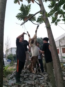 ruang kegiatan yabaqsosa, motivasi qurban, materi qurban, mengapa harus berqurban, hukum qurban, rofiq abidin, qurban, cinta, pembuktian taqwa, Yabaqsosa 2023, anak asuh, anak yatim, yayasan di sidoarjo, yayasan suara hati di sidoarjo, panti asuhan di sidoarjo, panti asuhan suara hati sidoarjo, ysh peduli, sidoarjo, majalah suara hati, panti asuhan sidoarjo, idul qurban, kapan idul adha 2023, lebaran haji, hari tasrik, binatang qurban, jual kambing, qurban di panti asuhan.